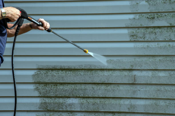  Mobile, AL Pressure Washing Pros